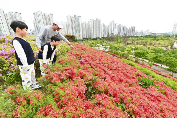 하남시 미사한강공원 철쭉동산에서 가족단위 시민들이 철쭉을 살펴 보고 있다. 하남시 제공