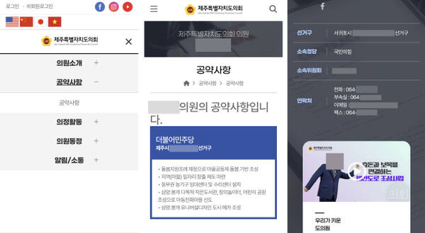제주특별자치도의회 홈페이지를 가면 '공약사항'란을 통해 도의원들의 공약을 확인할 수 있다. 일부 의원은 동영상을 통해 자신의 공약을 소개하기도 한다. 제주의회 캡처