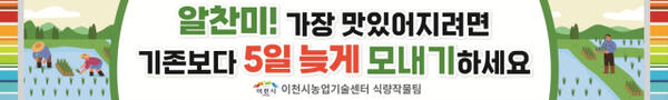 임금님표 이천쌀 ‘알찬미’ 5일 늦게 모내기로 품질 관리 안내 포스터. 이천시 농업기술센터 제공