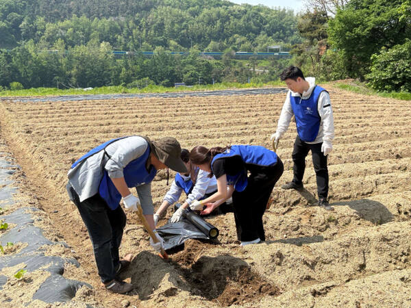 지난 14일 더블트리 바이 힐튼 서울 판교 임직원들이 의왕시 명륜보육원을 찾아 봉사활동을 전개하고 있다. 더블트리 바이 힐튼 서울 판교 제공
