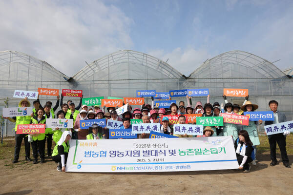 NH농협 안산시지부는 안산·군자·반월농협 회원 및 임직원 등과 함께 연농지원 발대식 및 농촌일손돕기를 실시했다. 농협 안산시지부 제공