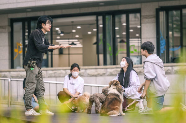 수원 청소년들이 청개구리 진로의 날에 애견 훈련사 체험을 하고 있다. 수원시 제공