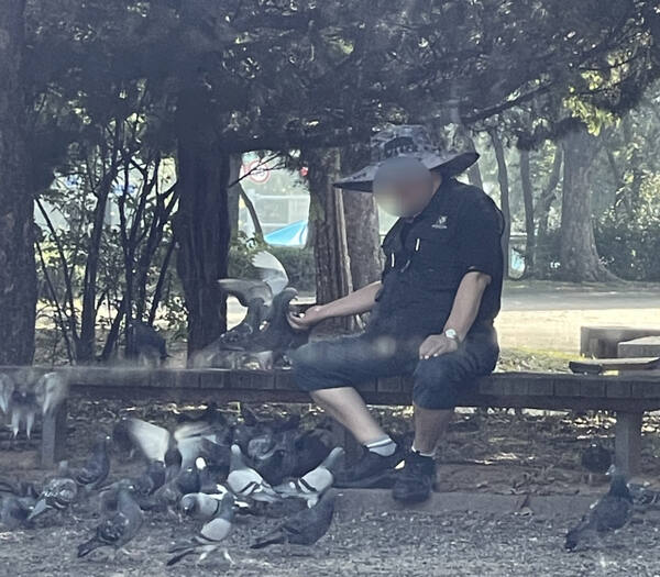 인천 한 공원에서 시민이 비둘기에게 먹이를 주고 있다. 박기웅 기자