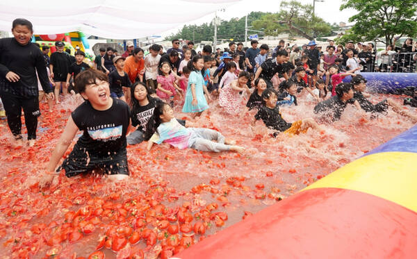 광주시 퇴촌면 광동로 일대에서 열린 ‘제23회 퇴촌토마토거리축제’가 성황리에 막을 내렸다. 21일부터 23일까지 3일간 열린 행사에는 30만명이 다녀갔다. 광주시 제공