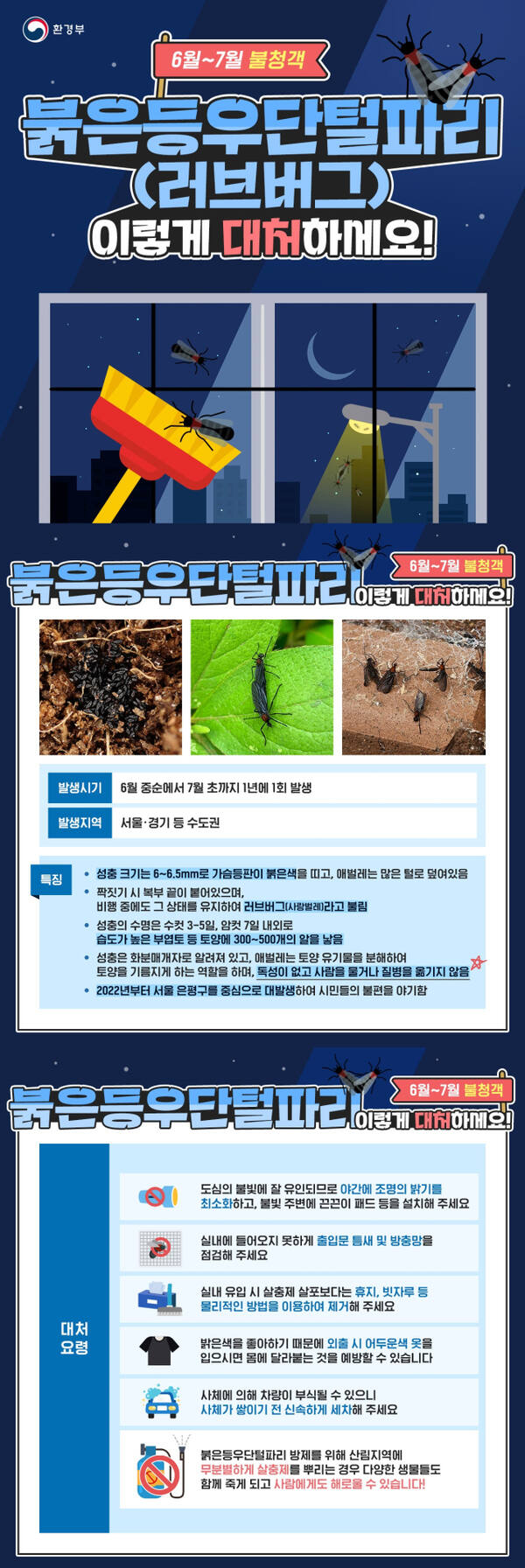 러브버그대처요령 홍보 포스터. 안양시 제공
