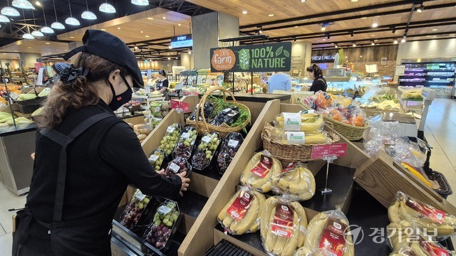 포천 파파야·용인 바나나… 경기도 ‘새로운 여름 맛’ 지도 그린다