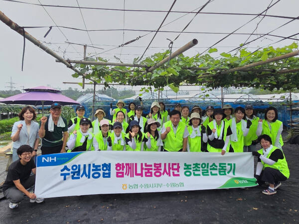 지난달 28일 수원 한 포도 농가에서 진행된 수원농협 농촌 일손 돕기 봉사활동 현장에서 참석자들이 기념사진을 촬영하고 있다. 수원농협 제공