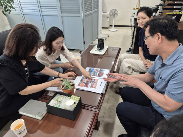 장윤정 경기도의원이 안산 양지중학교에서 발생한 기와 낙하 사고와 관련 현장을 방문, 학생들의 안전을 미룰 수 없다며 학교 관계자들과 대책을 논의했다. 장 의원 사무실 제공