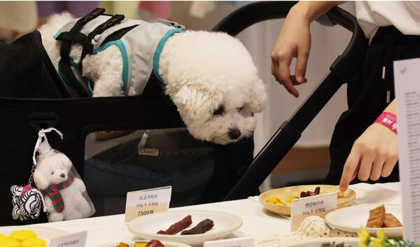 “댕냥이 구강케어 걱정마세요”…제약사, 덴탈제품 라인업 강화 [한양경제]
