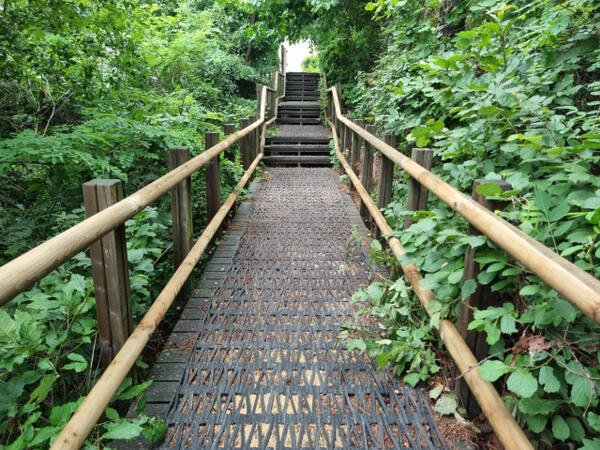 남동구가 노후한 만월산의 등산로를 정비했다. 남동구청 제공