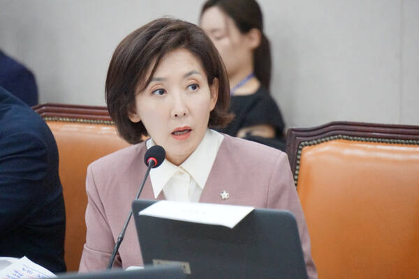 나경원 국민의힘 의원. 나경원 페이스북 갈무리