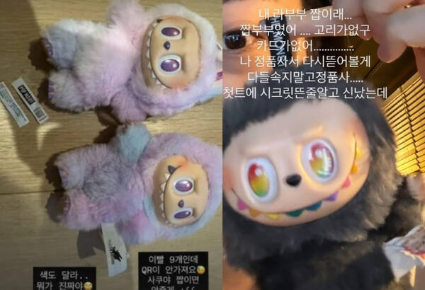 유명 연예인들의 가품 피해 사례. 보아 인스타그램(오른쪽), 이영지 인스타그램(왼쪽) 갈무리