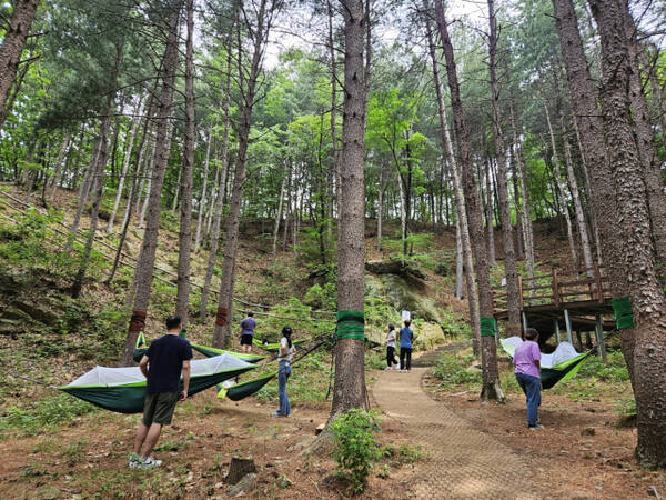 경기도가 가평 잣향기푸른숲, 포천 하늘아래치유의숲, 양평 용문산치유의숲, 동두천치유의숲 등 4곳에서 ‘산림치유 프로그램’을 운영한다. 경기도 제공