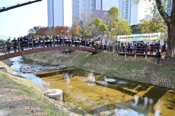 포천 송우천에서 주민 100여명이 유효미생물(EM) 흙공 던지기’ 환경정화 행사에 참여하고 있다. 포천시 제공