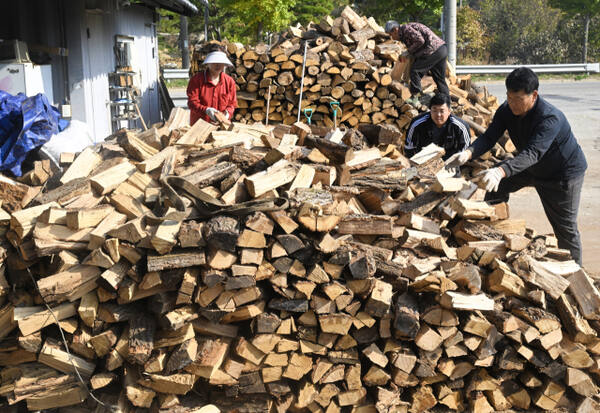 "바쁘다 바빠" 입동 D-1 분주한 장작 공장 [포토뉴스]