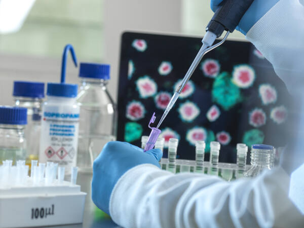 기사의 이해를 돕기 위한 사진. 클립아트코리아