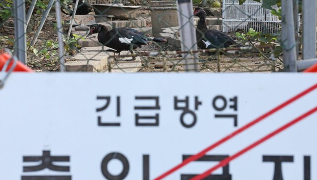 PYH2025102204010005400_P4