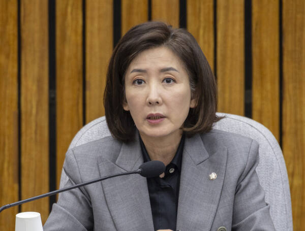 국민의힘 지방선거 총괄기획단장인 나경원 의원이 지난 7일 국회에서 열린 기획단 회의에서 발언하고 있다. 연합뉴스