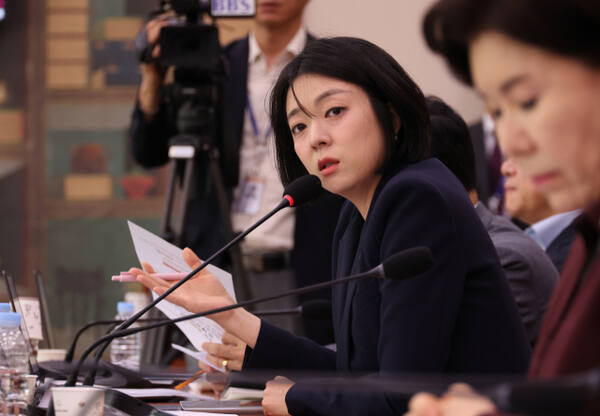 배현진, 종묘 가림 논란에 민주당 과거 겹쳐