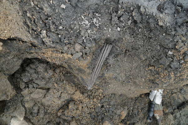 '기묘년' 글자가 적힌 목간 출토 당시 모습. 연합뉴스