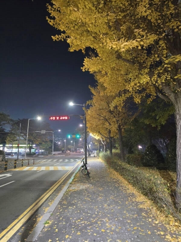 의정부시가 새로 설치한 보행등. 의정부시 제공