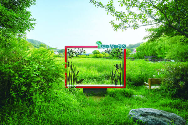 광명의 도심 속 생태계를 보여주는 ‘안터생태공원’ 전경. 광명시 제공