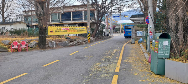 가평군 청평면 대성1리 소돌마을 진입로에 신설된 주정차금지구역 전경. 가평군 제공