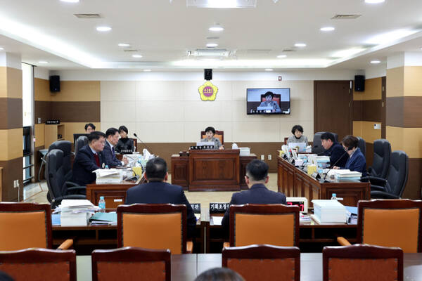 인천시의회 행정안전위원회가 3일 열린 제305회 9차 정례회에서 인천시 행정기구 설치 조례 일부개정조례(안) 심의를 하고 있다. 인천시의회 제공