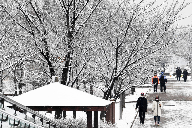 20201213+첫눈+쌓인+남동구+중앙공원++JUN_4784