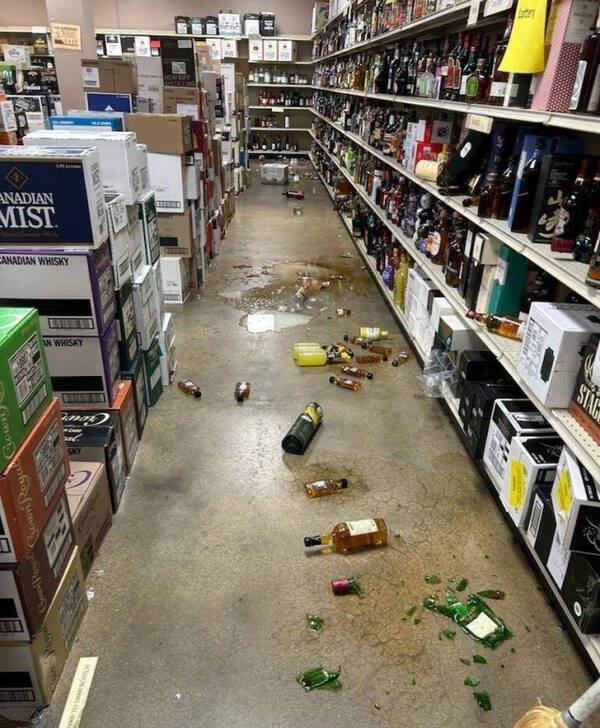 라쿤 침입에 난장판이 된 주류 판매점. AP=연합뉴스