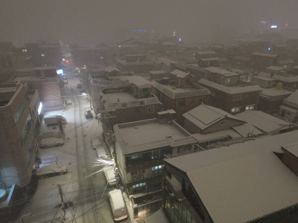 폭설이 내린 4일 오후 수원특례시 화서공원 일대가 온통 눈으로 덮여 있다.조주현기자