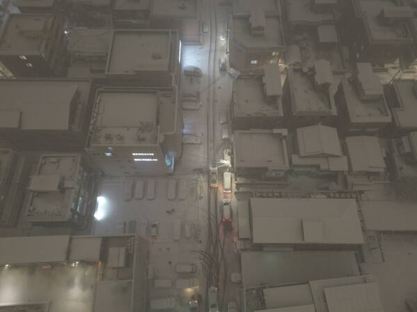 폭설이 내린 4일 오후 수원특례시 화서공원 일대가 온통 눈으로 덮여 있다.조주현기자