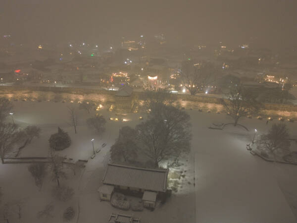 폭설이 내린 4일 오후 수원특례시 화서공원 일대가 온통 눈으로 덮여 있다.조주현기자