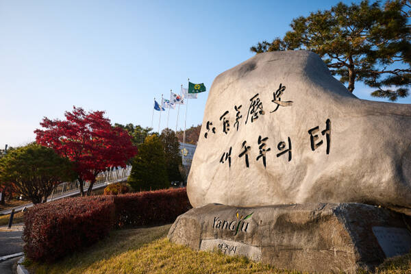 양주시, 내년 국비 163억원 증액 확보 - 뉴스 썸네일 이미지