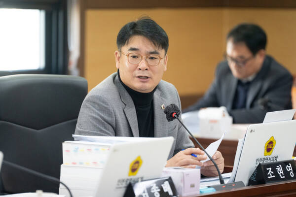 조현영 인천시의원(무소속·연수4). 인천시의회 제공