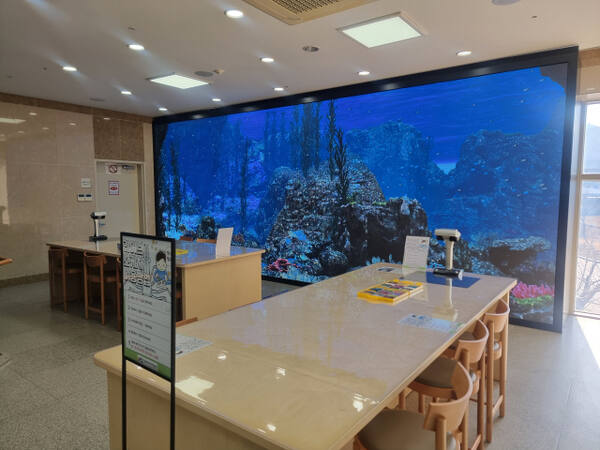 강화자연사박물관 내부. 강화군 제공