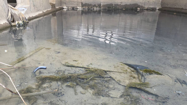 16일 인천 부평구 굴포천 상류 하수박스 앞. 반쯤 묻혀있는 우산 쓰레기 위에는 이끼로 덮여있고 주변은 악취로 진동하고 있다. 장민재 기자