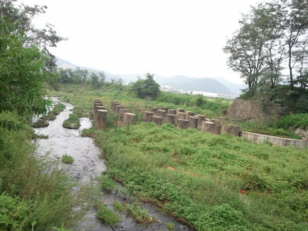 파주시 파주읍 하천에 설치된 용치 모습. 파주시 제공