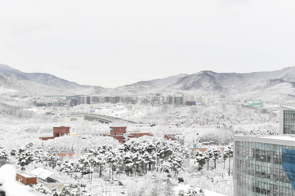 정부 1·29 ‘도심 주택공급 확대 및 신속화방안에 포함된 성남시청 주변. 성남시 제공