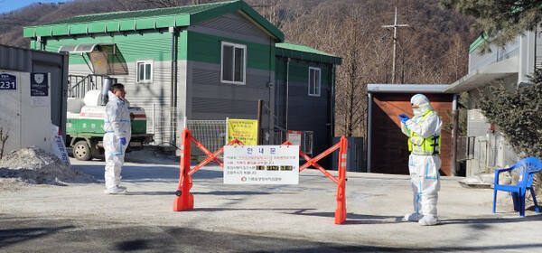 ��õ�� ���θ� ������ ������ī��������(ASF) �߻� �󰡿��� ��� �ȳ����� �����ϰ� ������ �����ϰ� �ִ�. ����������