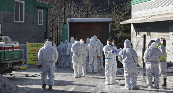 ��õ ASF �߻� ��, ��ó�� �η� ���� [���䴺��]