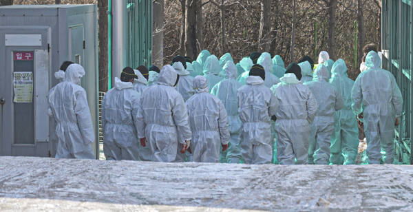 ��õ ASF �߻� ��, ��ó�� �η� ���� [���䴺��]