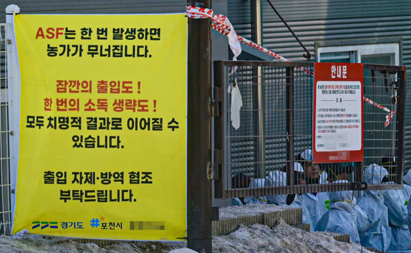 ��õ ASF �߻� ��, ��ó�� �η� ���� [���䴺��]