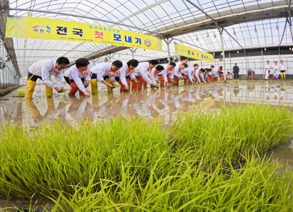 전국 첫 모내기는 '이천' [포토뉴스]