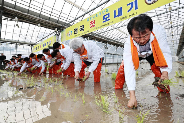 전국 첫 모내기는 '이천' [포토뉴스]