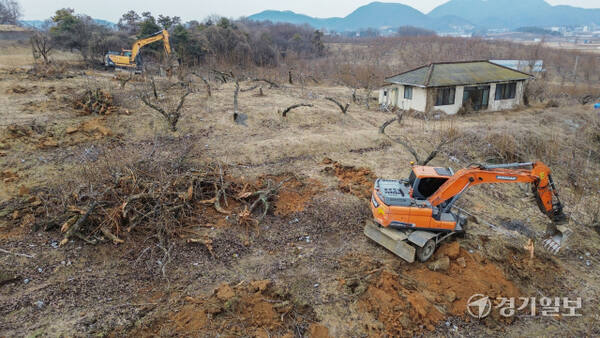 경기도가 과수화상병 예방을 위해 2~4월을 ‘과수화상병 집중 예방 기간’으로 정하고 방역을 강화하고 있다. 10일 안성시내 한 배 과수원에서 중장비들이 과수화상병 감염목 매몰작업을 하고 있다. 과수화상병은 배·사과나무 등에 생기는 세균병으로, 감염되면 불에 탄 듯 잎·가지·꽃·열매가 검게 변해 고사한다. 김시범기자