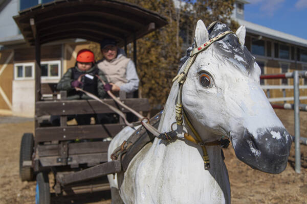 궁평캠프. 경기관광공사 제공