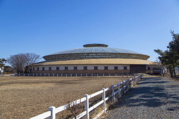 안산 베르아델승마클럽. 경기관광공사 제공