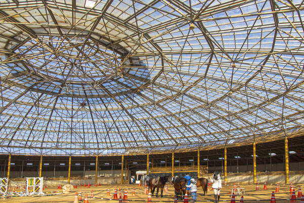 안산 베르아델승마클럽. 경기관광공사 제공