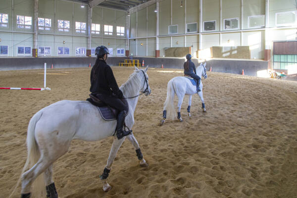양평 곤들쌔들 승마클럽. 경기관광공사 제공